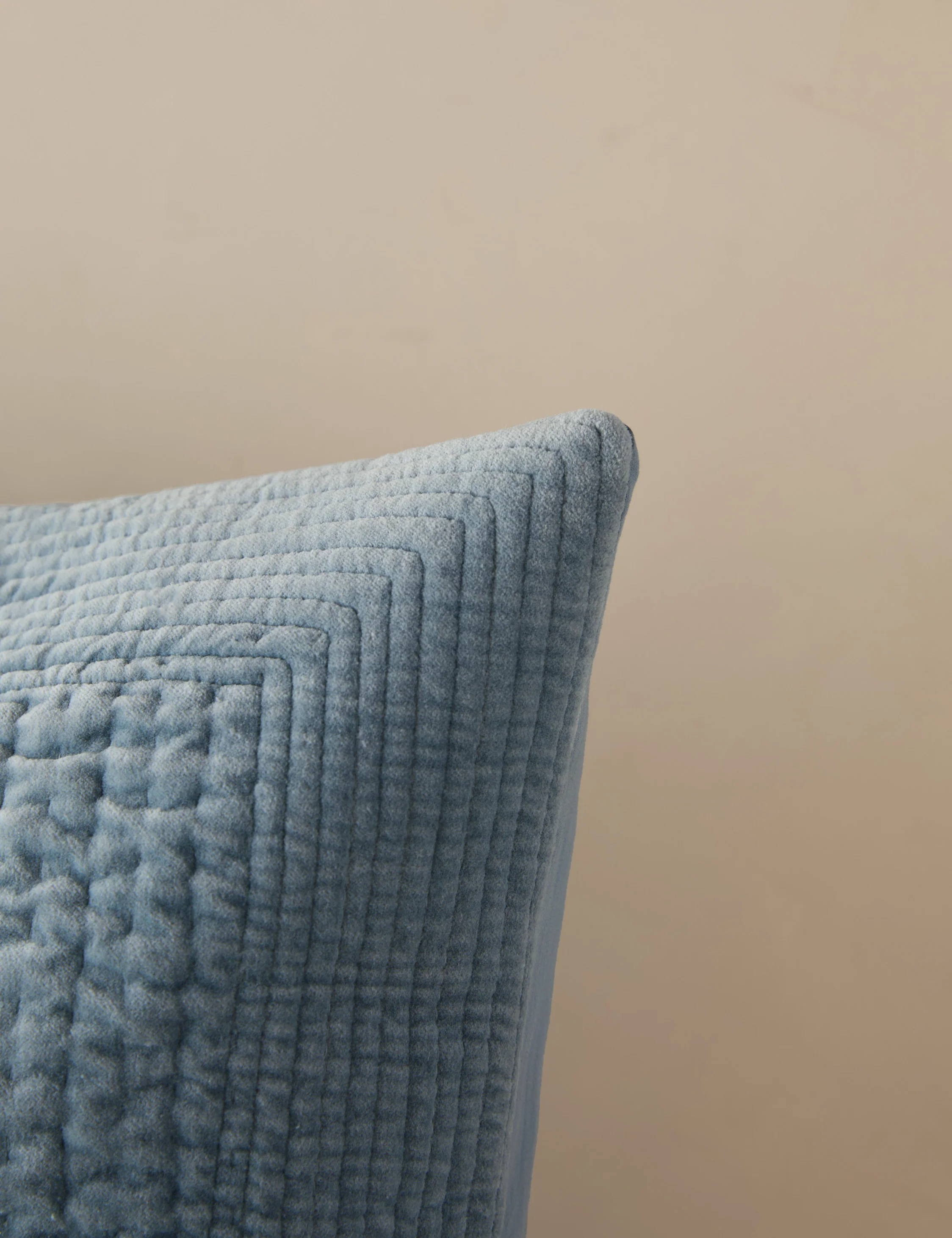 Bloomfield Velvet Sham - Image 11