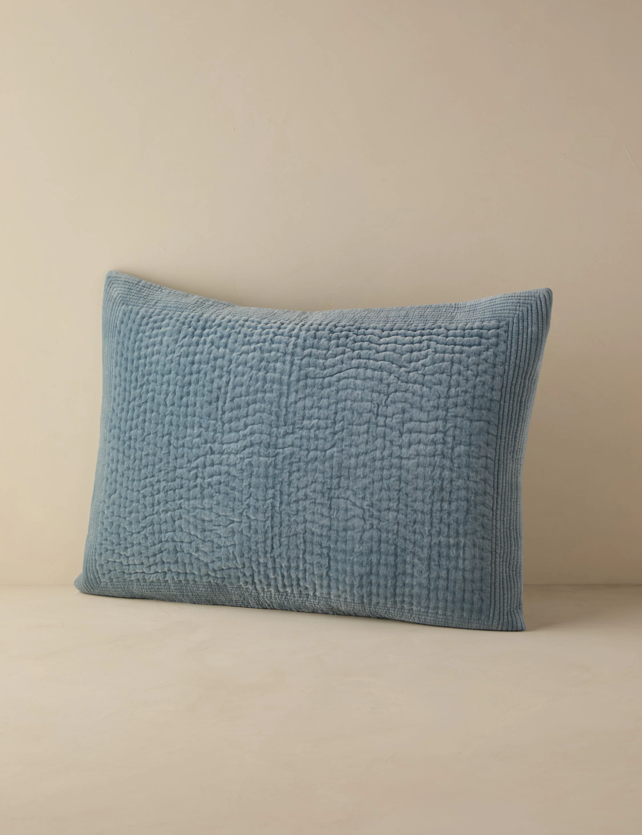 Bloomfield Velvet Sham - Image 7
