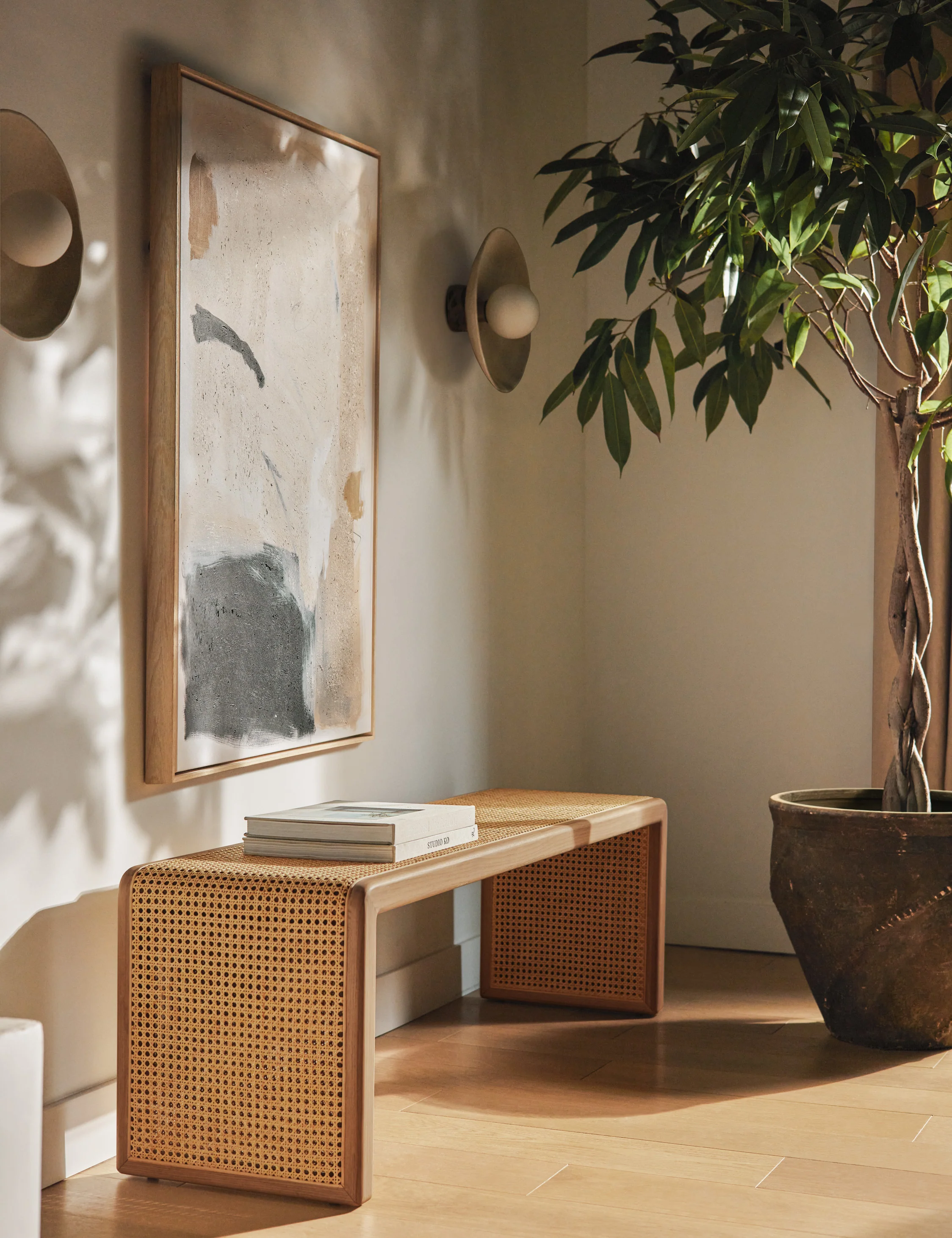 Canistel Bench by Carly Cushnie - Image 3