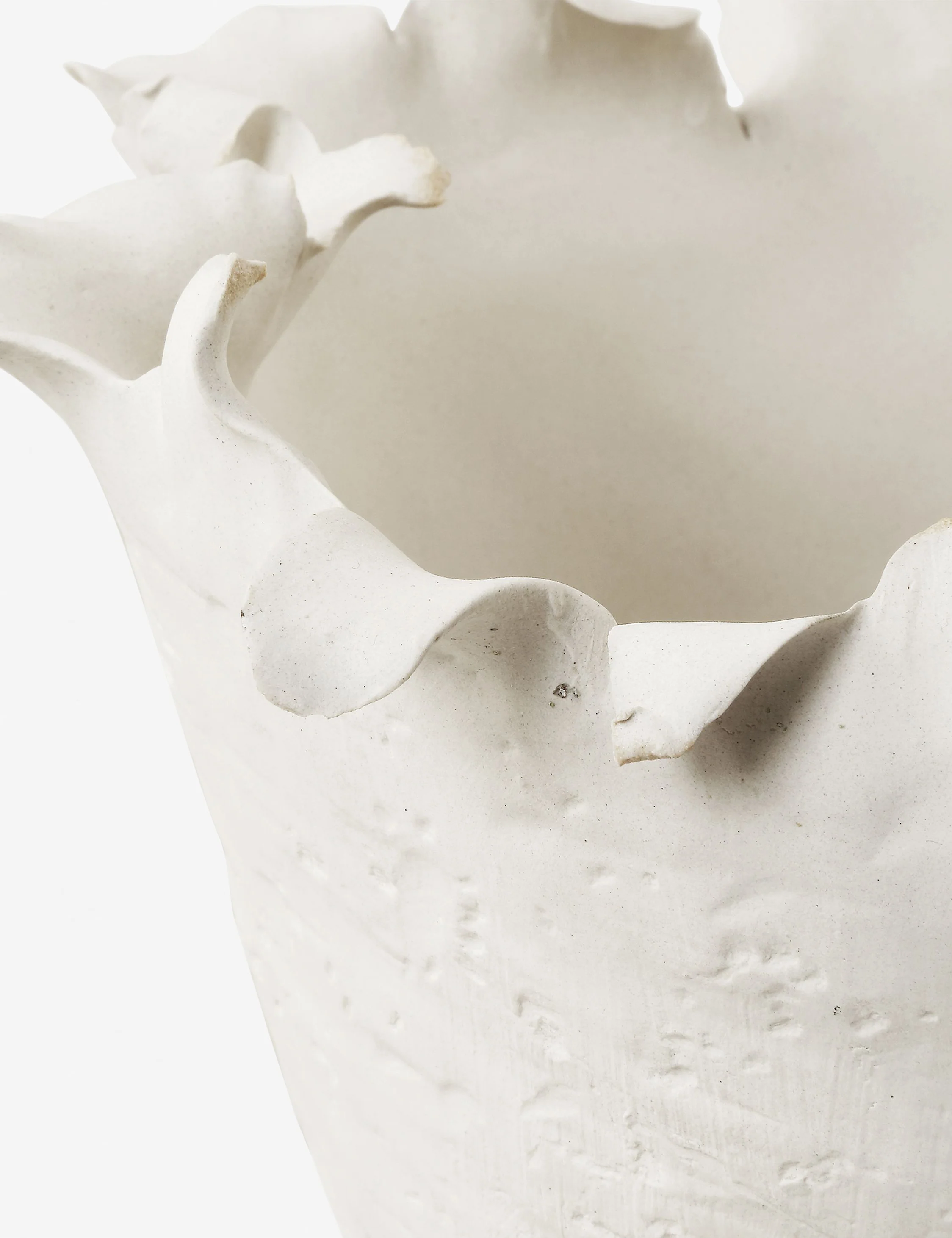 Ferri Bowl - Image 4