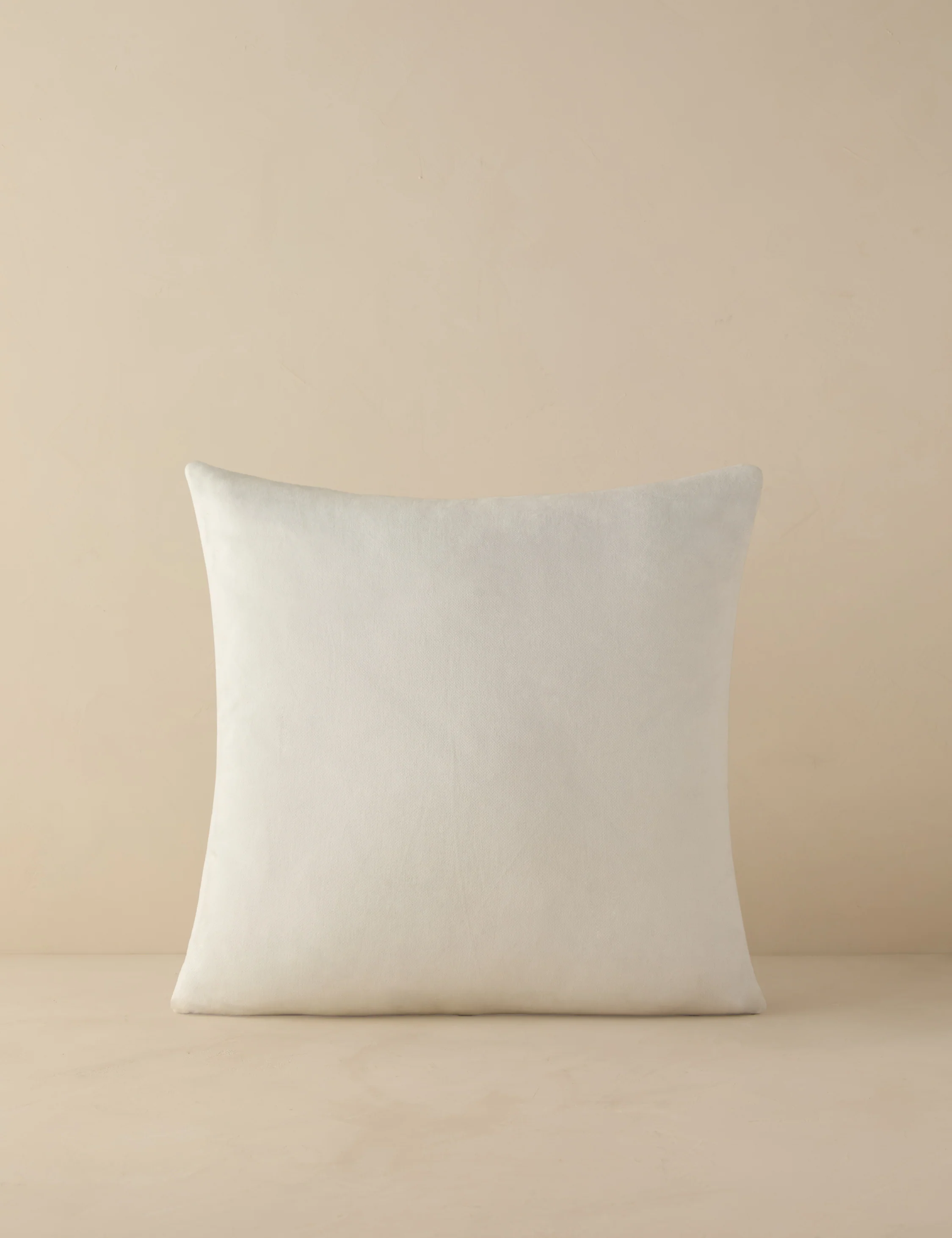 Jessa Indoor / Outdoor Pillow - Image 11
