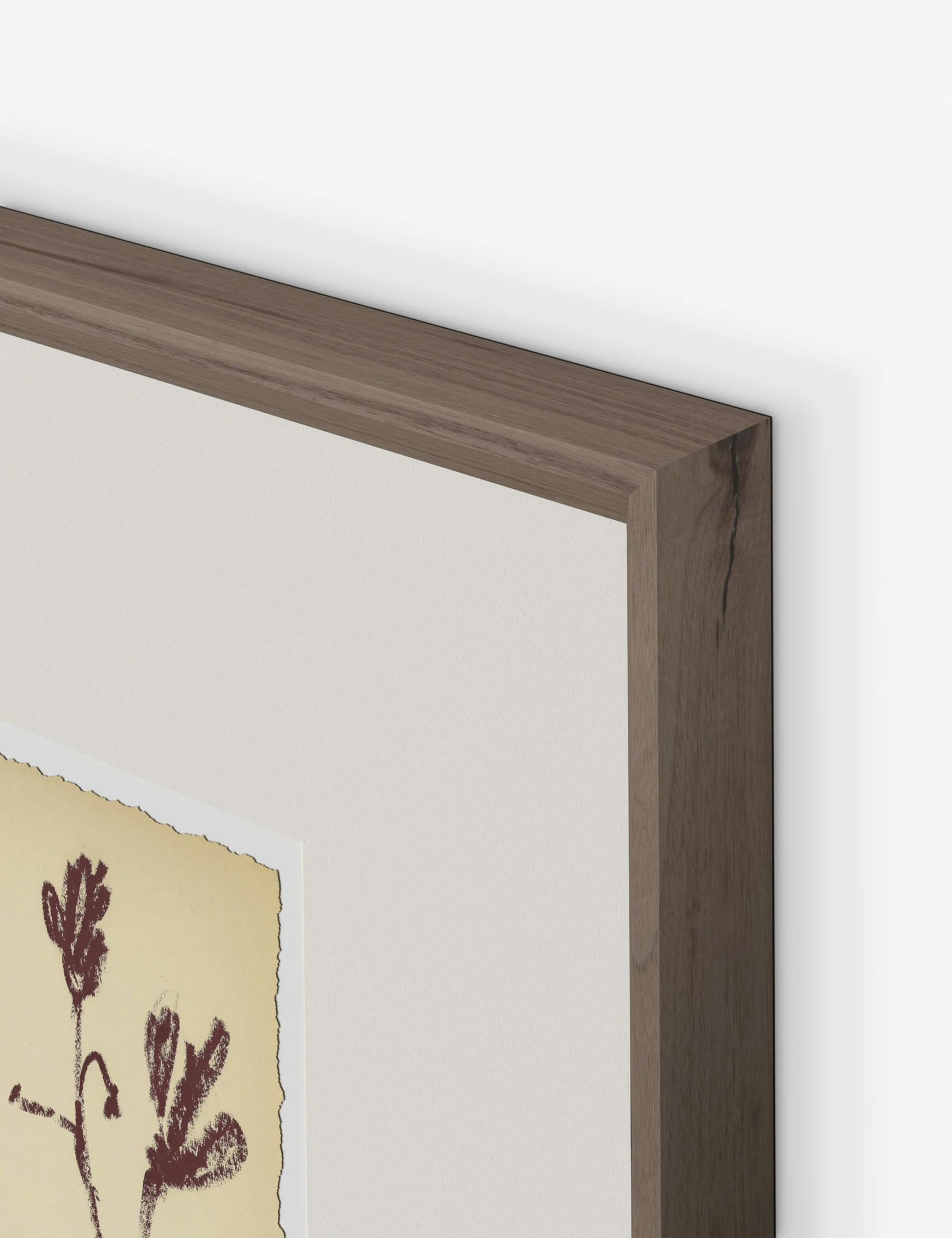 Meadow Rue No. 3 Wall Art by Shaina Page - Image 3