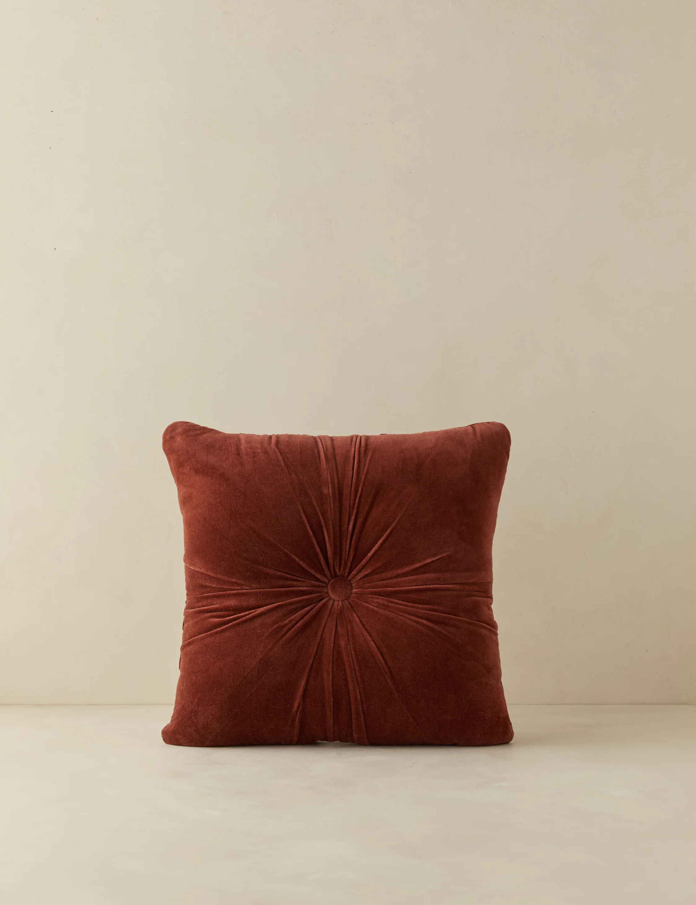 Monroe Velvet Pillow - Image 11