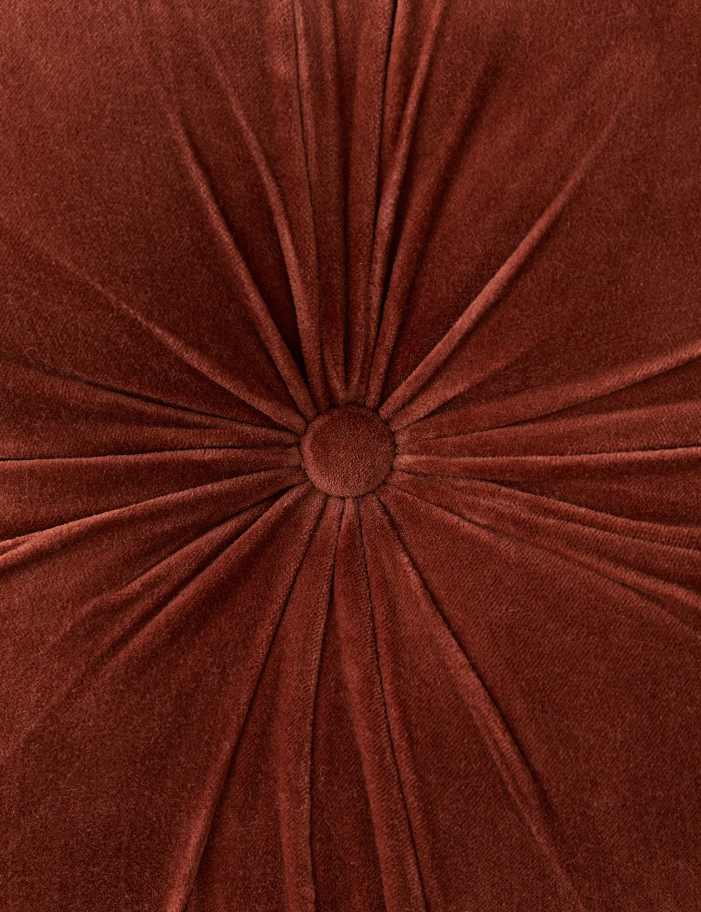 Monroe Velvet Pillow - Image 13