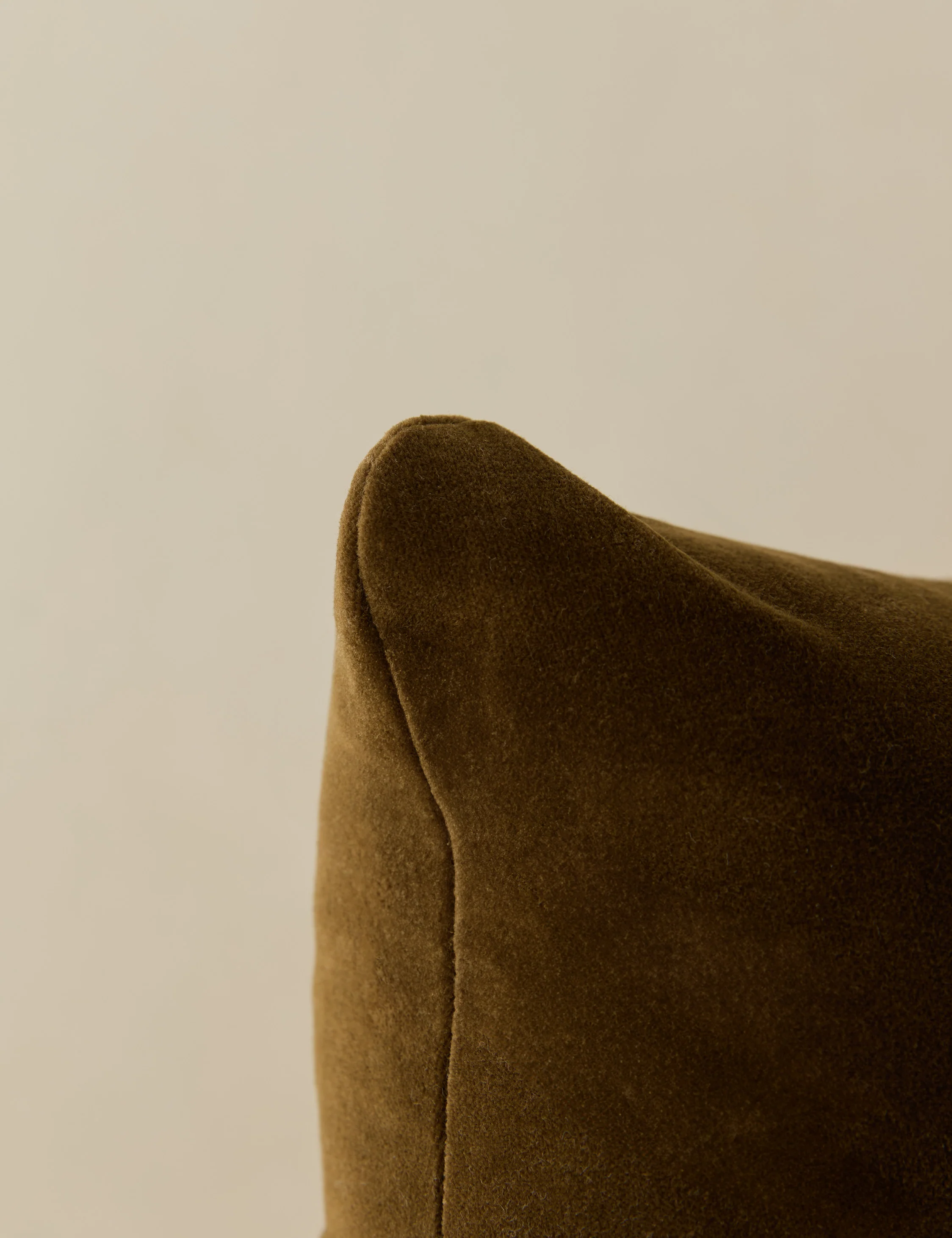 Monroe Velvet Pillow - Image 19
