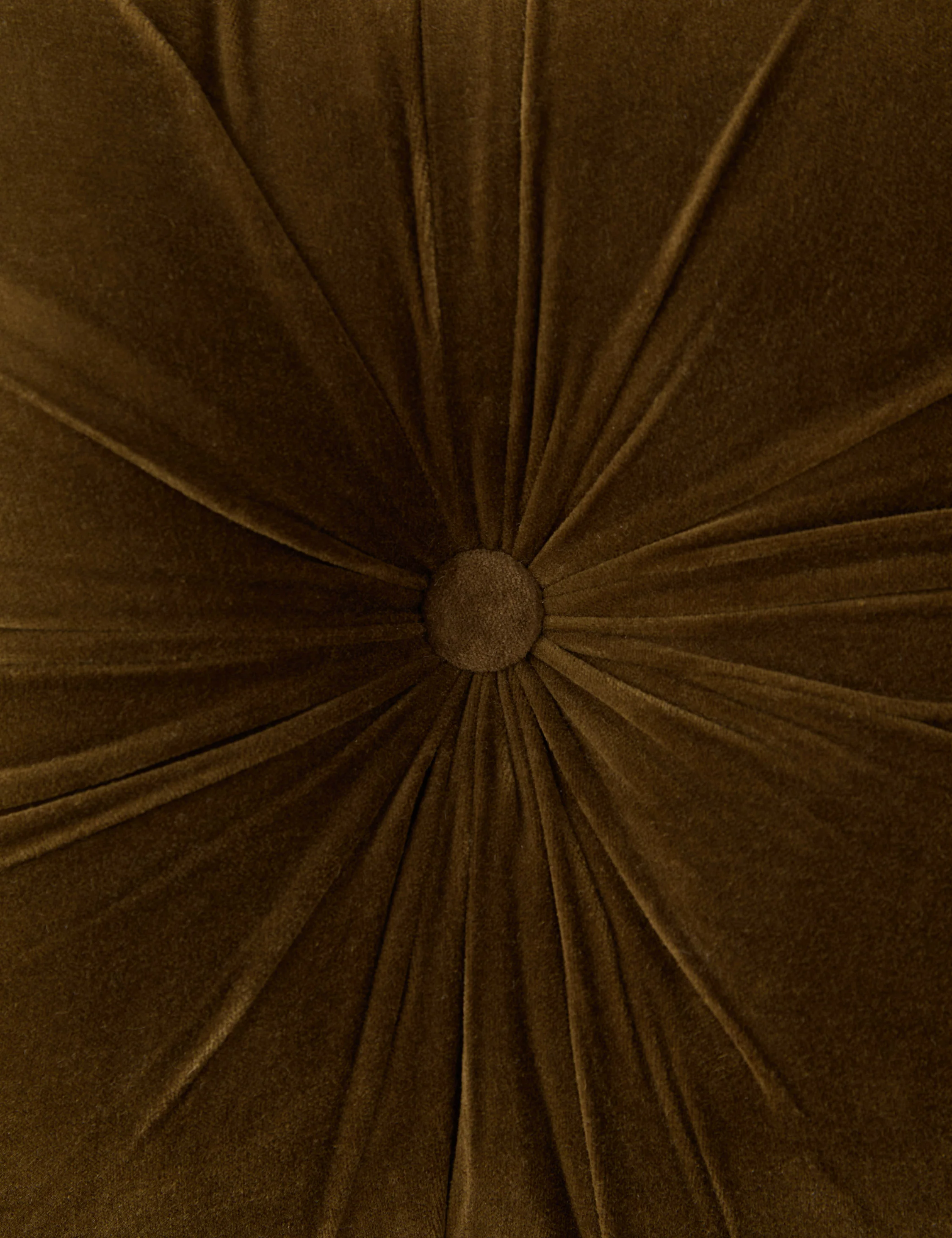 Monroe Velvet Pillow - Image 20