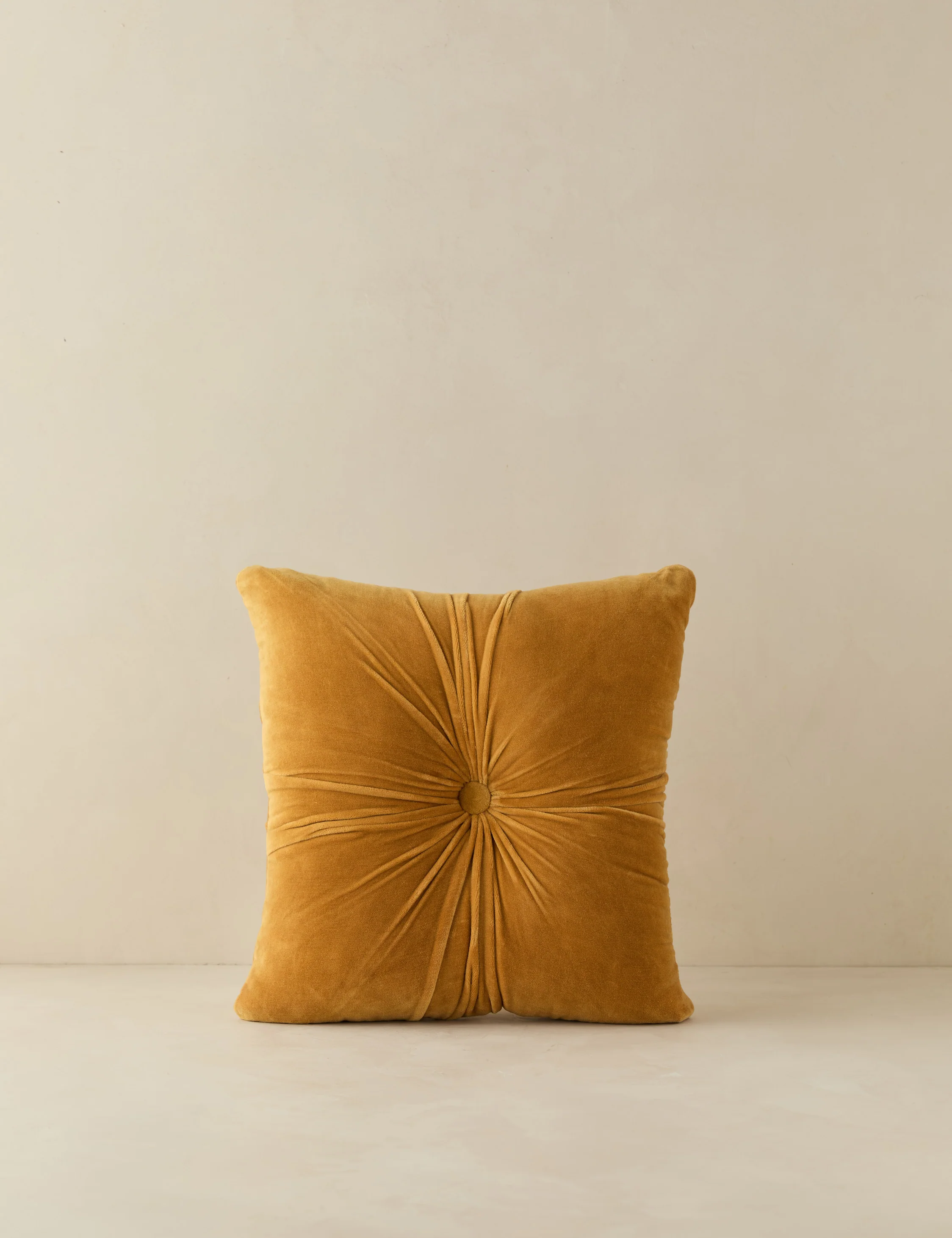 Monroe Velvet Pillow - Image 21