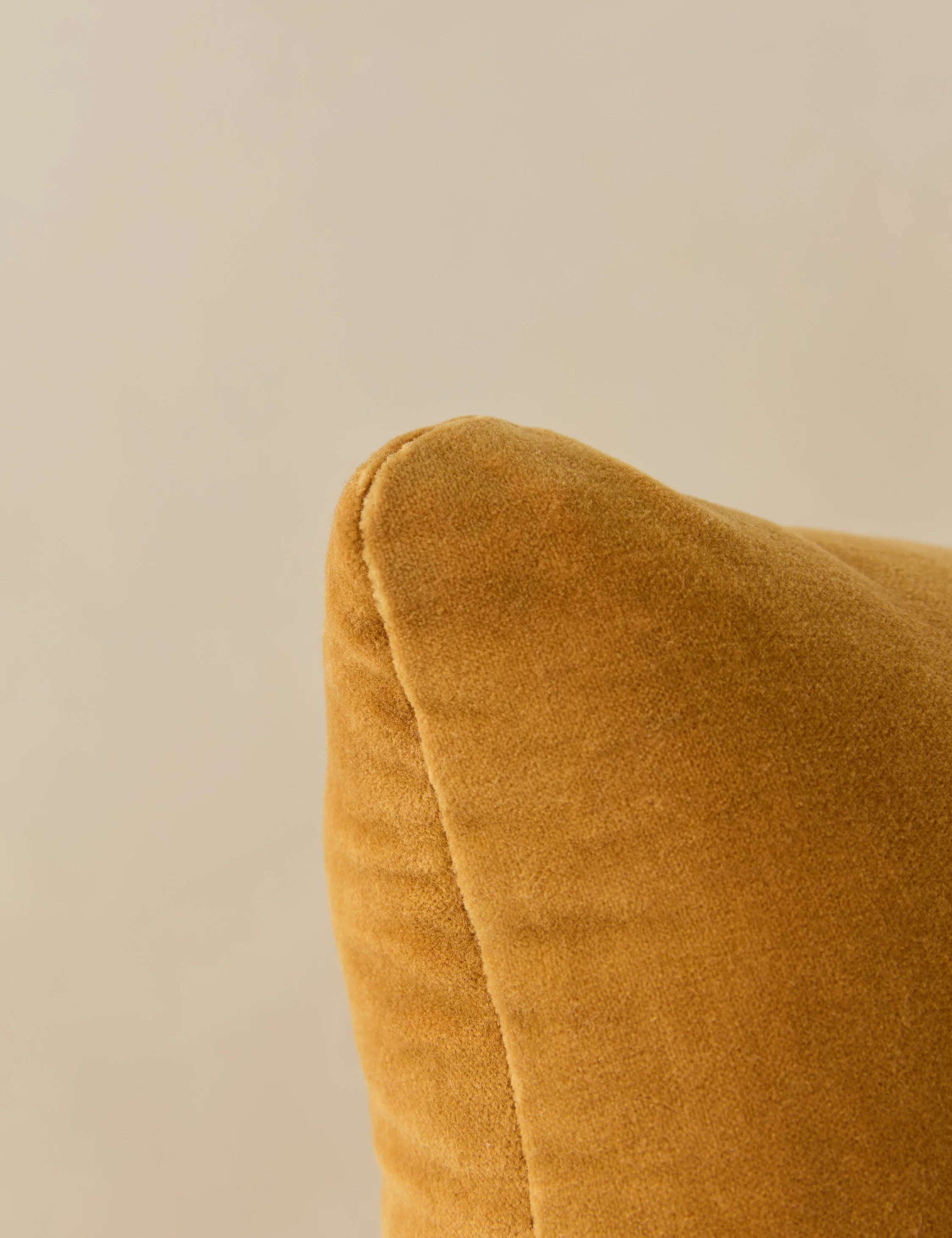 Monroe Velvet Pillow - Image 22