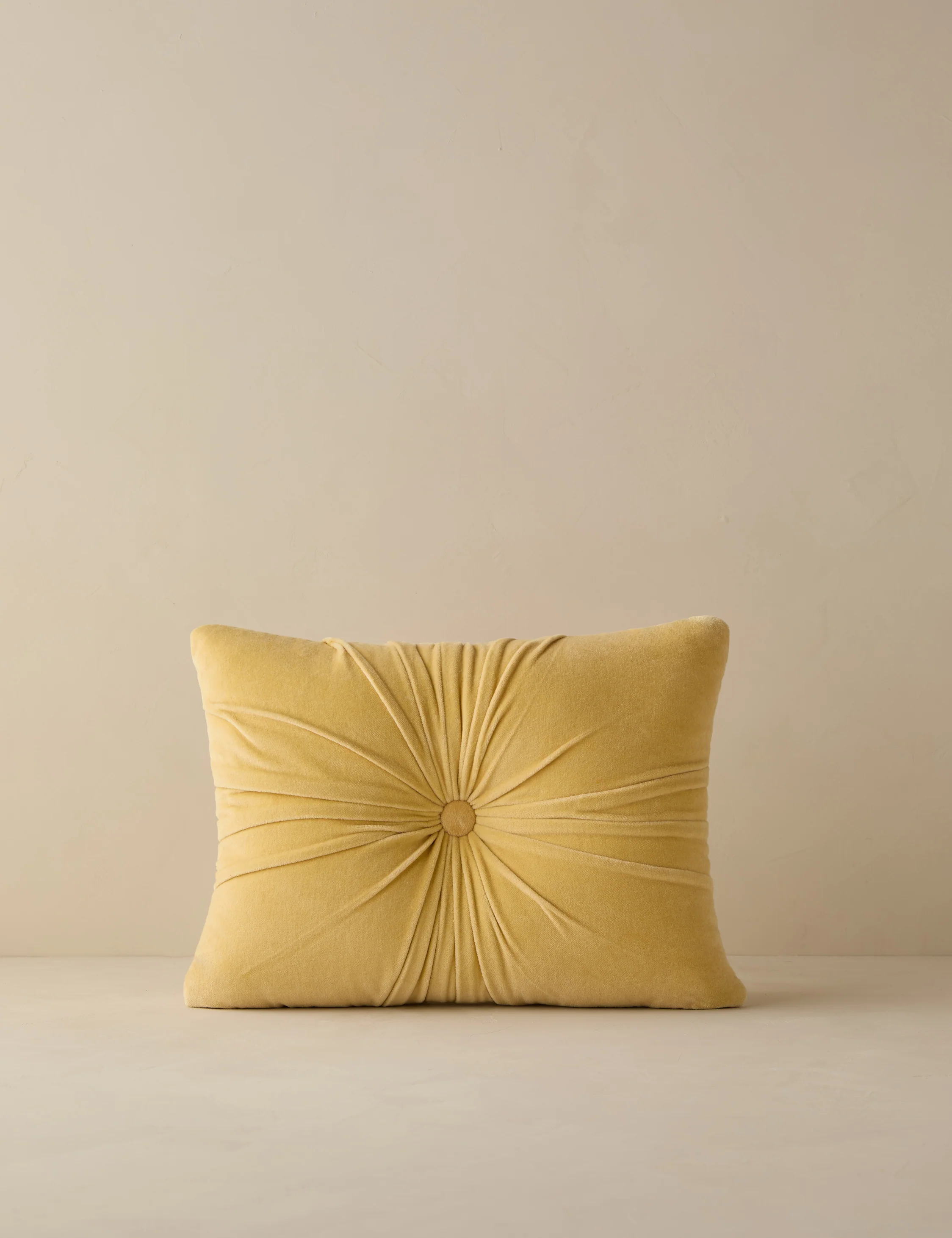 Monroe Velvet Pillow - Image 25