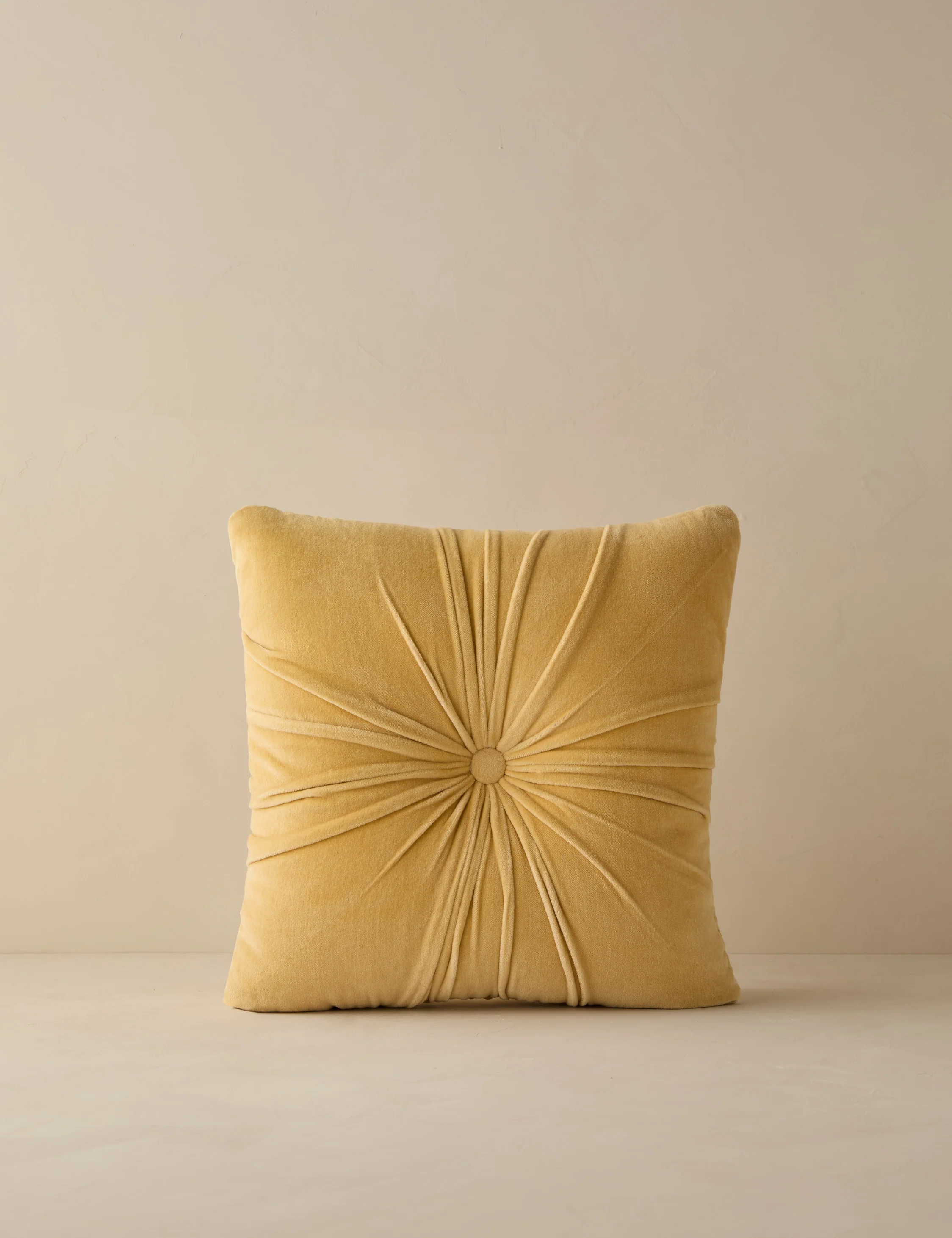 Monroe Velvet Pillow - Image 26