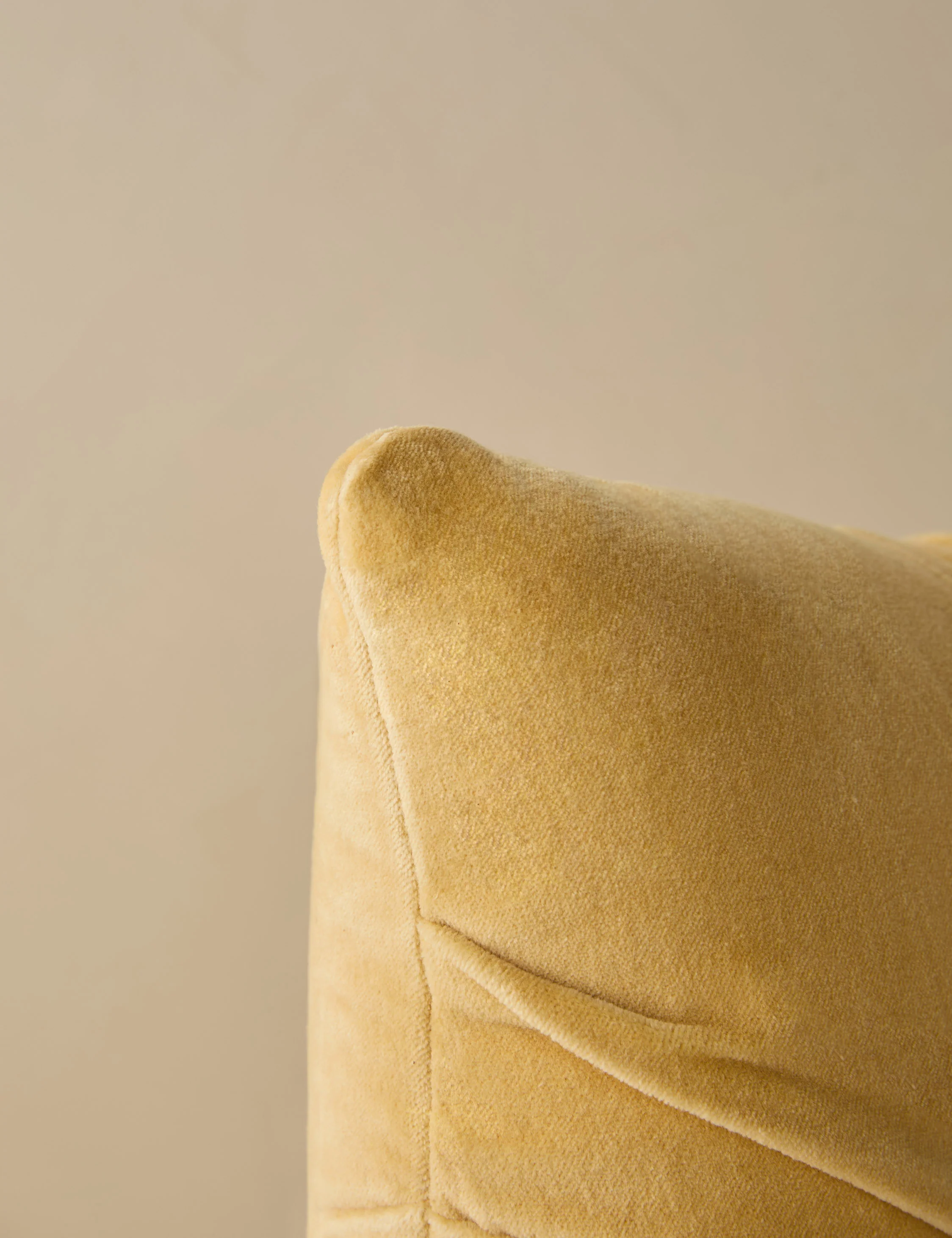 Monroe Velvet Pillow - Image 28