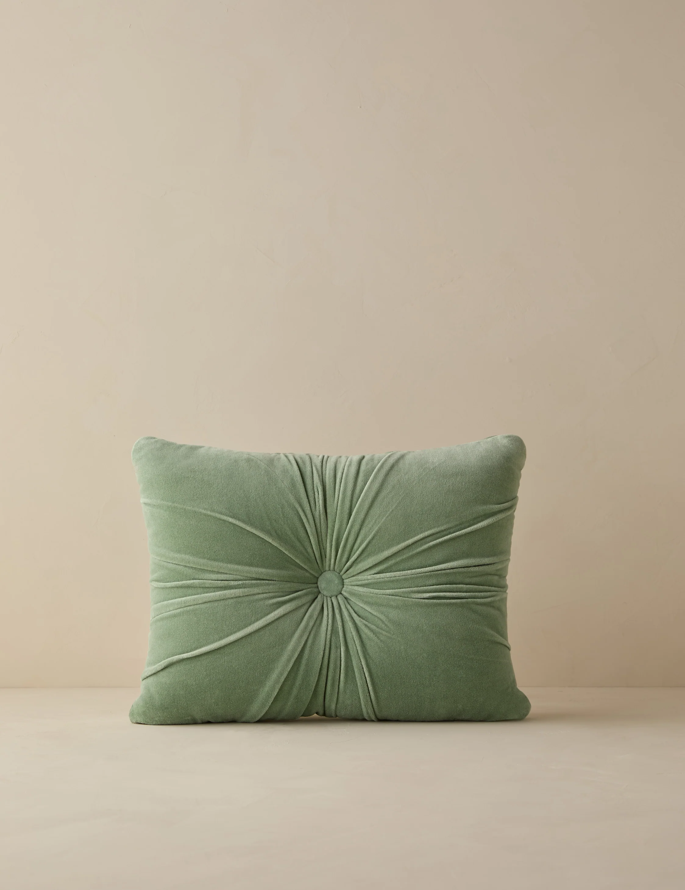 Monroe Velvet Pillow - Image 30