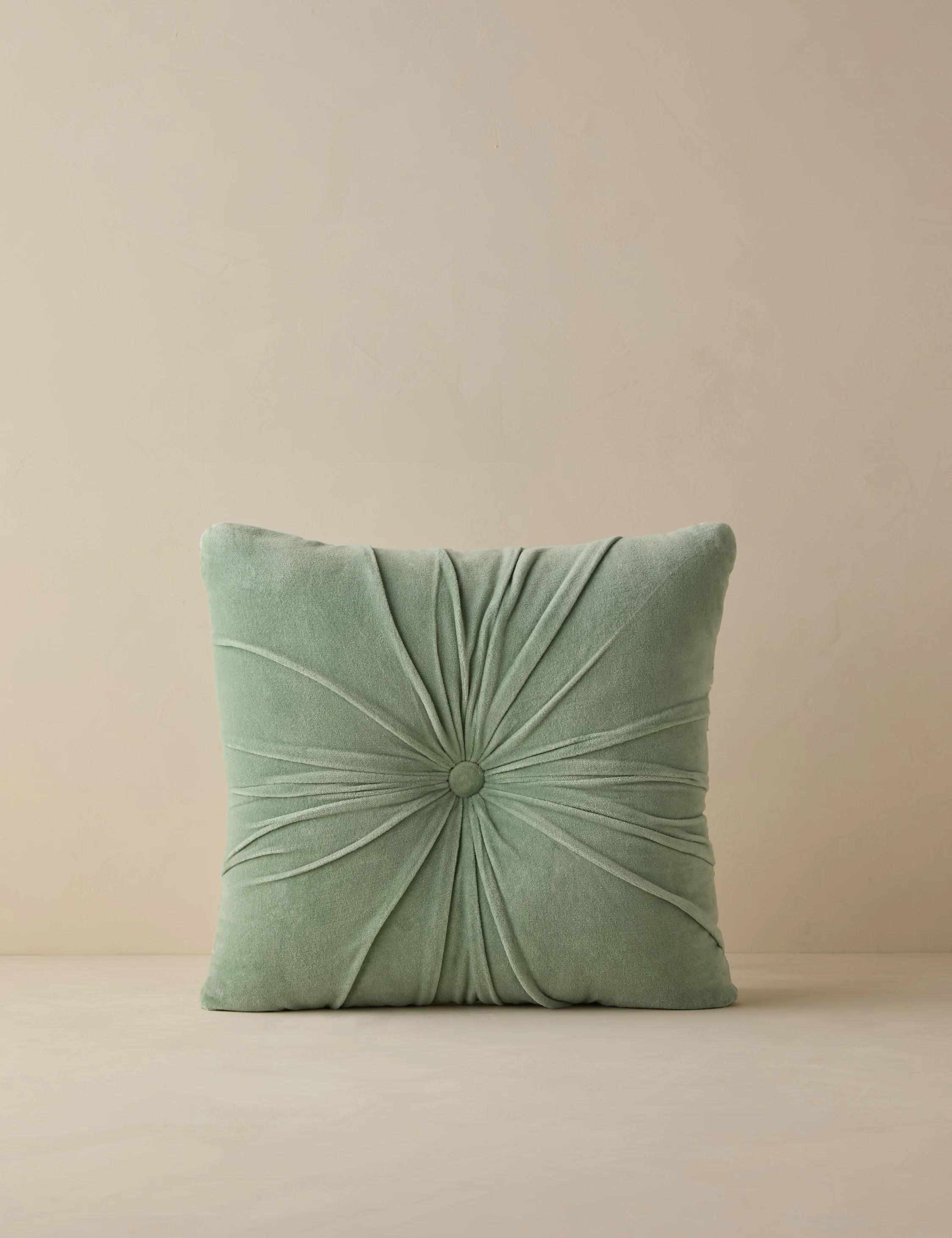Monroe Velvet Pillow - Image 31