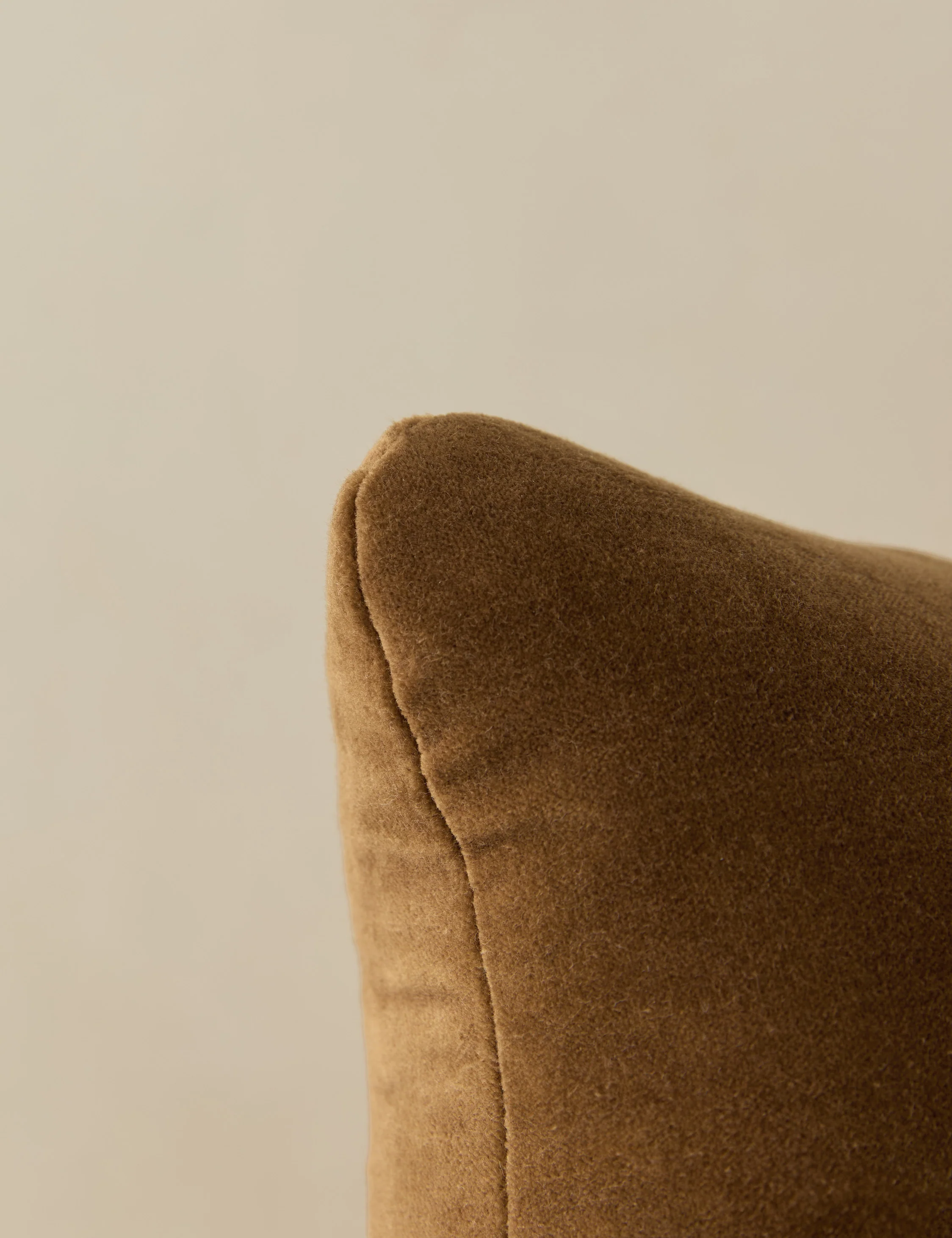 Monroe Velvet Pillow - Image 9