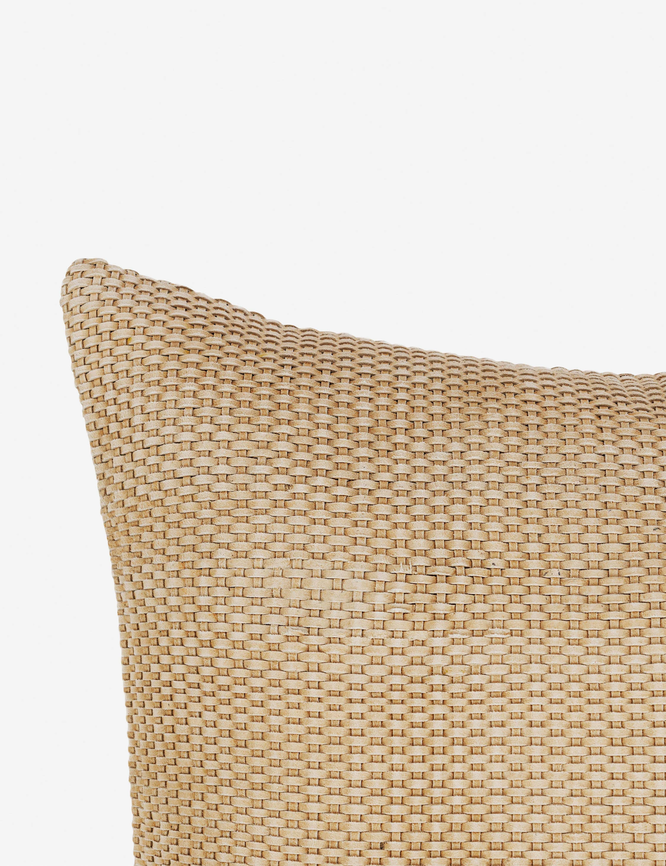 Veronica Suede Pillow - Image 10