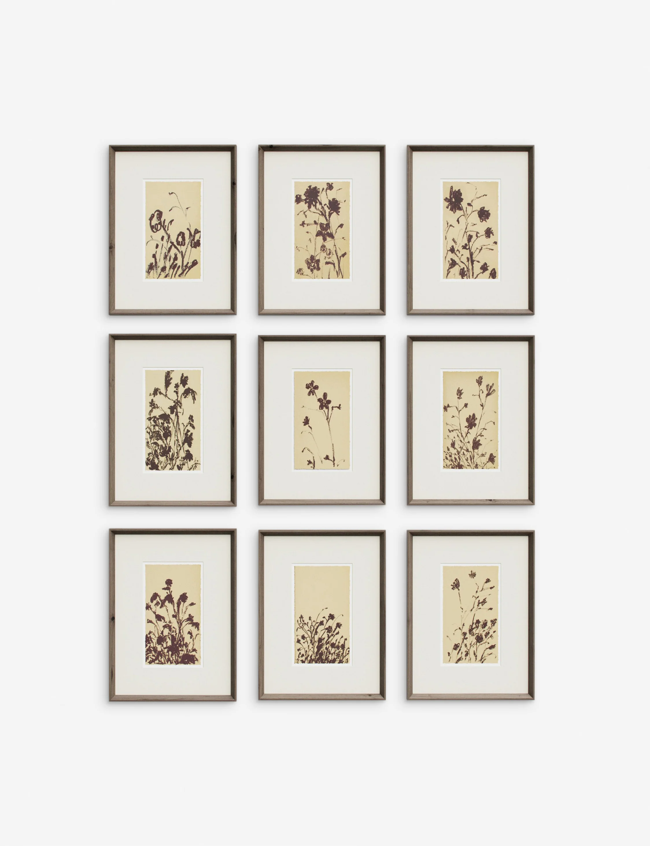 Wild Blooms Wall Art (Set of 9) by Shaina Page - Image 2