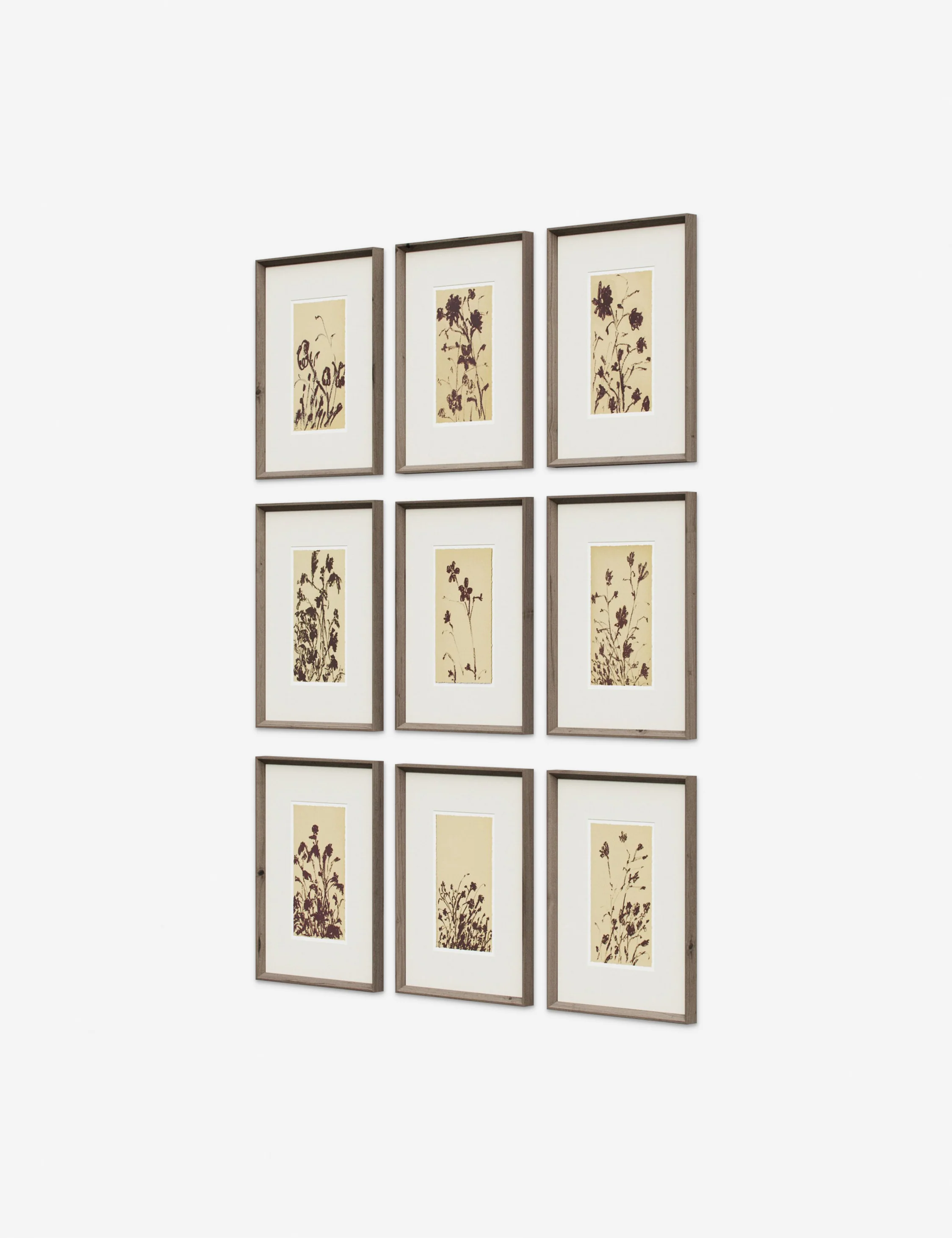 Wild Blooms Wall Art (Set of 9) by Shaina Page - Image 3